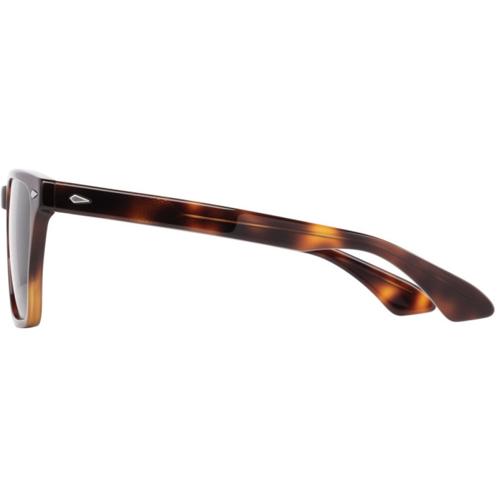 American Optical (AO) - Hudson Tortoise (Brown)