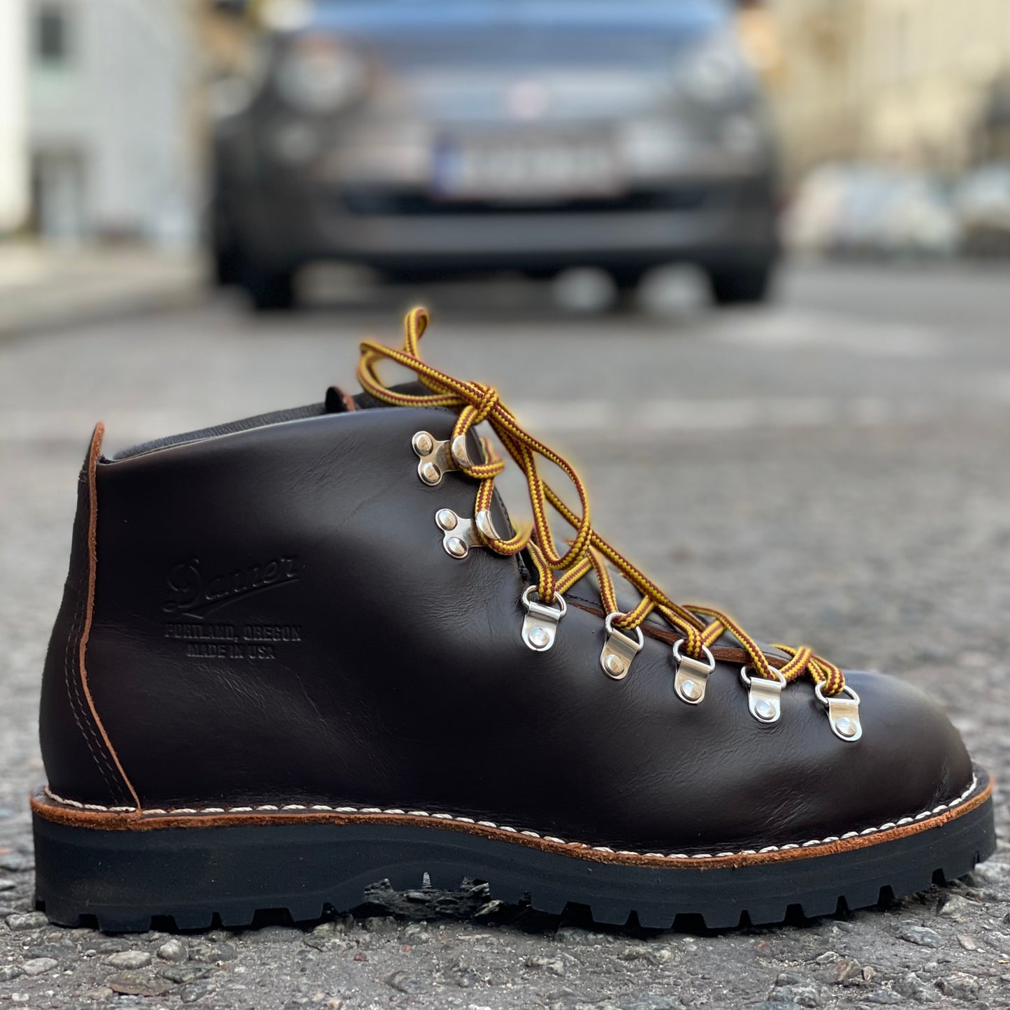 DANNER - Mountain Light 30866 Brown